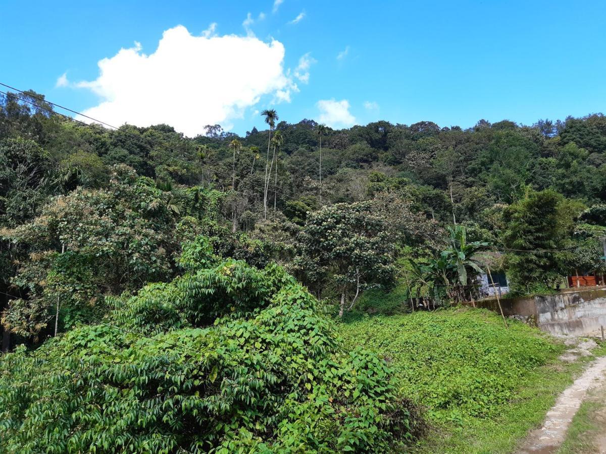 Mountain View Holiday Home Kalpetta Bagian luar foto
